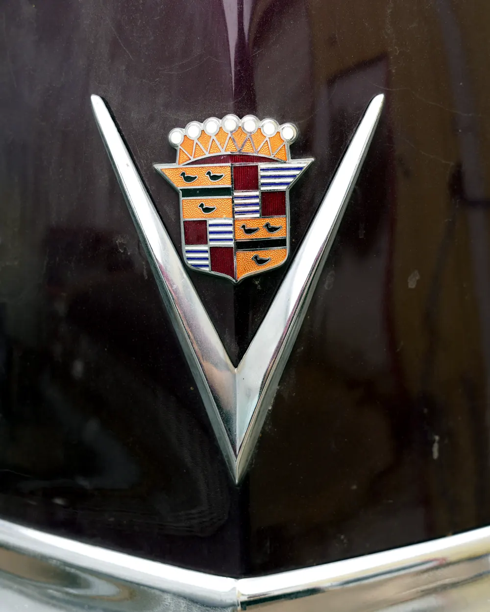 Cadillac V crest on a deep burgundy hood